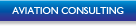 Aviation Consulting